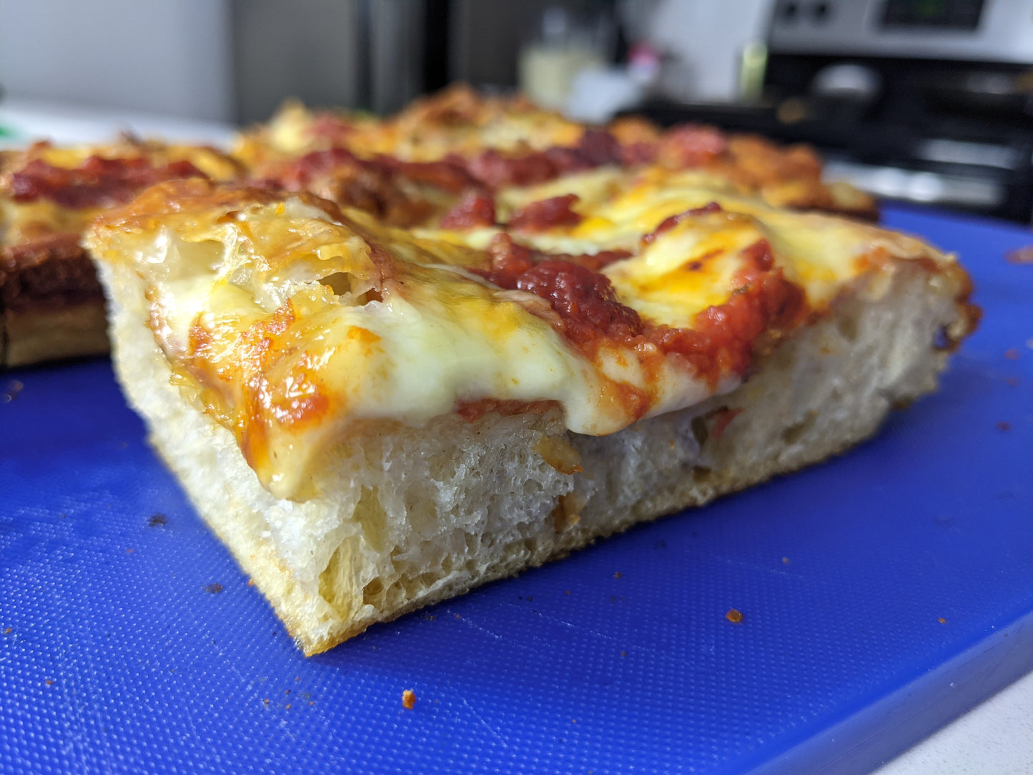 Detroit Style Pizza Meat (Thunderbird - 12 slice)