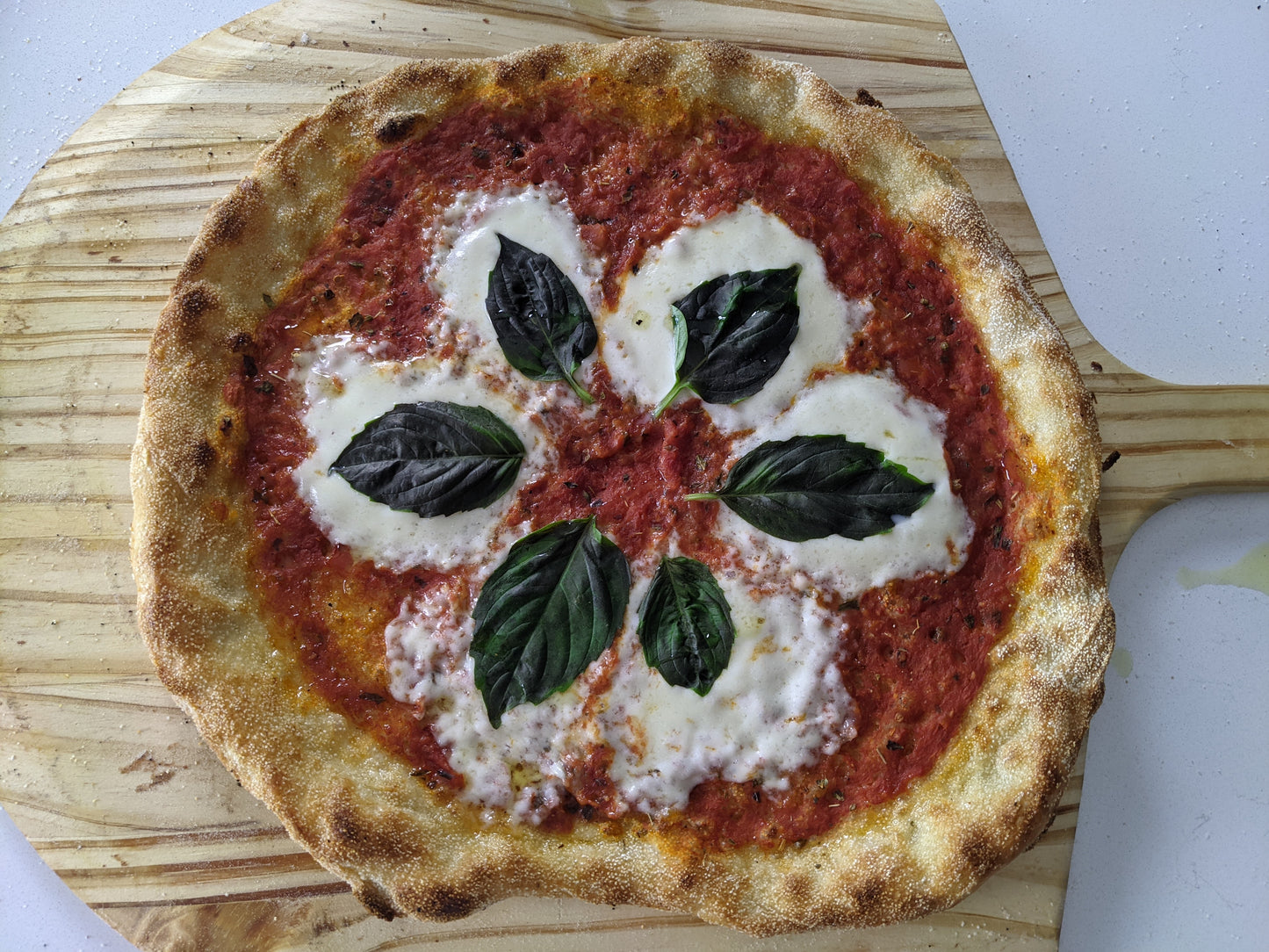 12" Neapolitan Margherita - Now shipping! Woot!